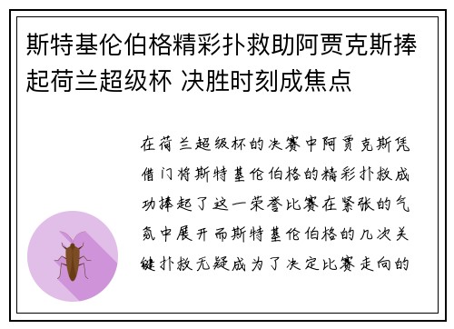 斯特基伦伯格精彩扑救助阿贾克斯捧起荷兰超级杯 决胜时刻成焦点